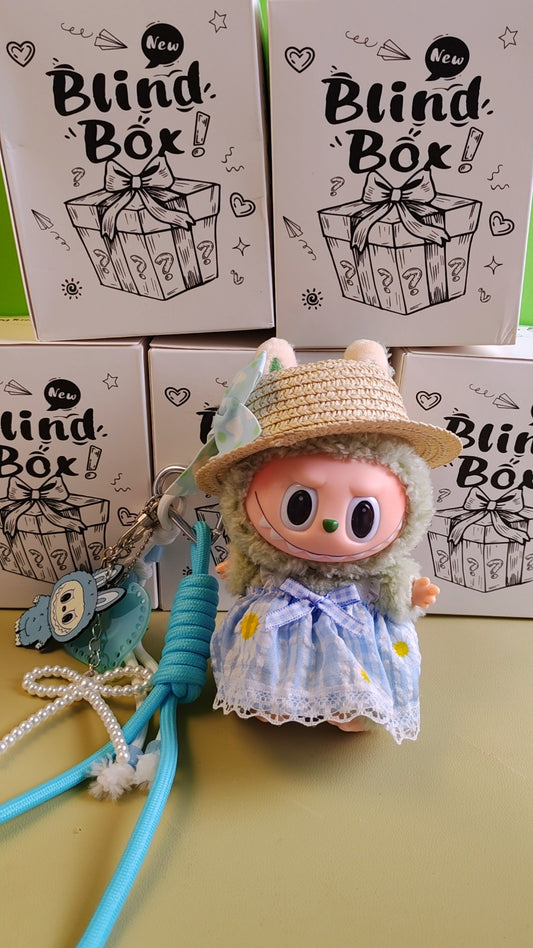 Labubu Blind  BOX
